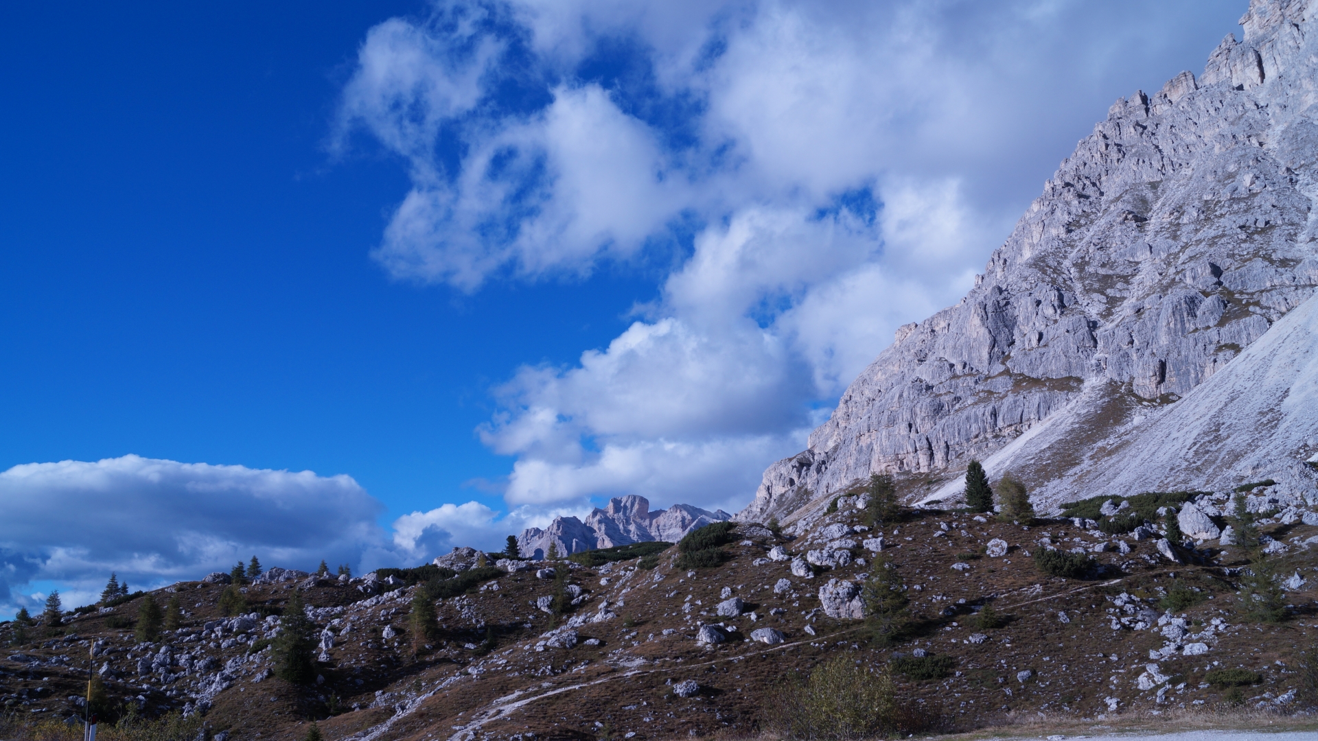 Background Slider